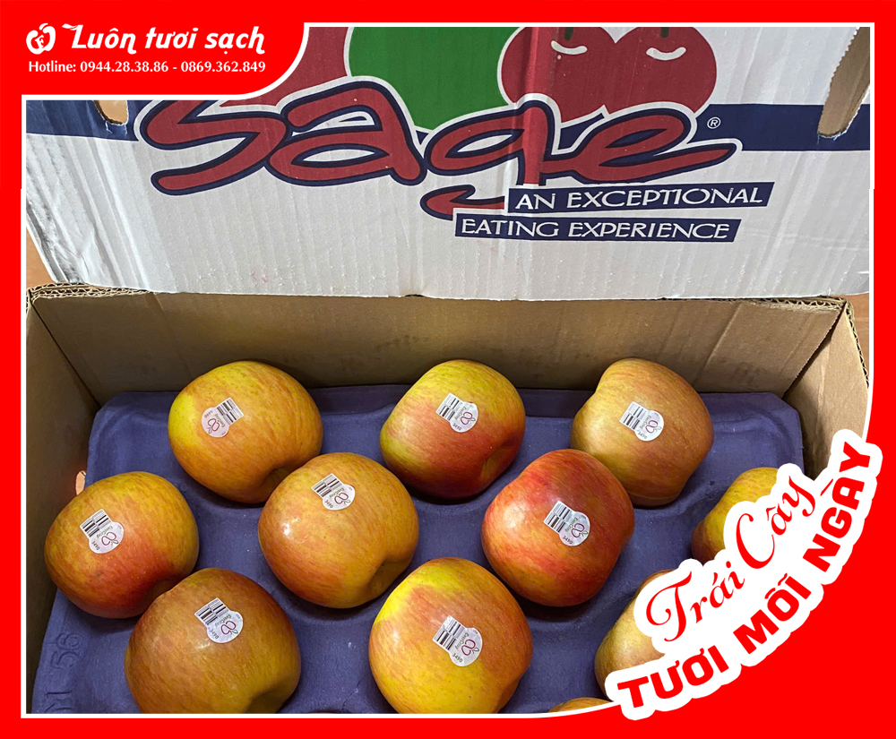 Nguyên Thùng Táo Ever Crisp 36